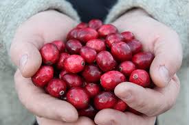 Cranberry Shortage