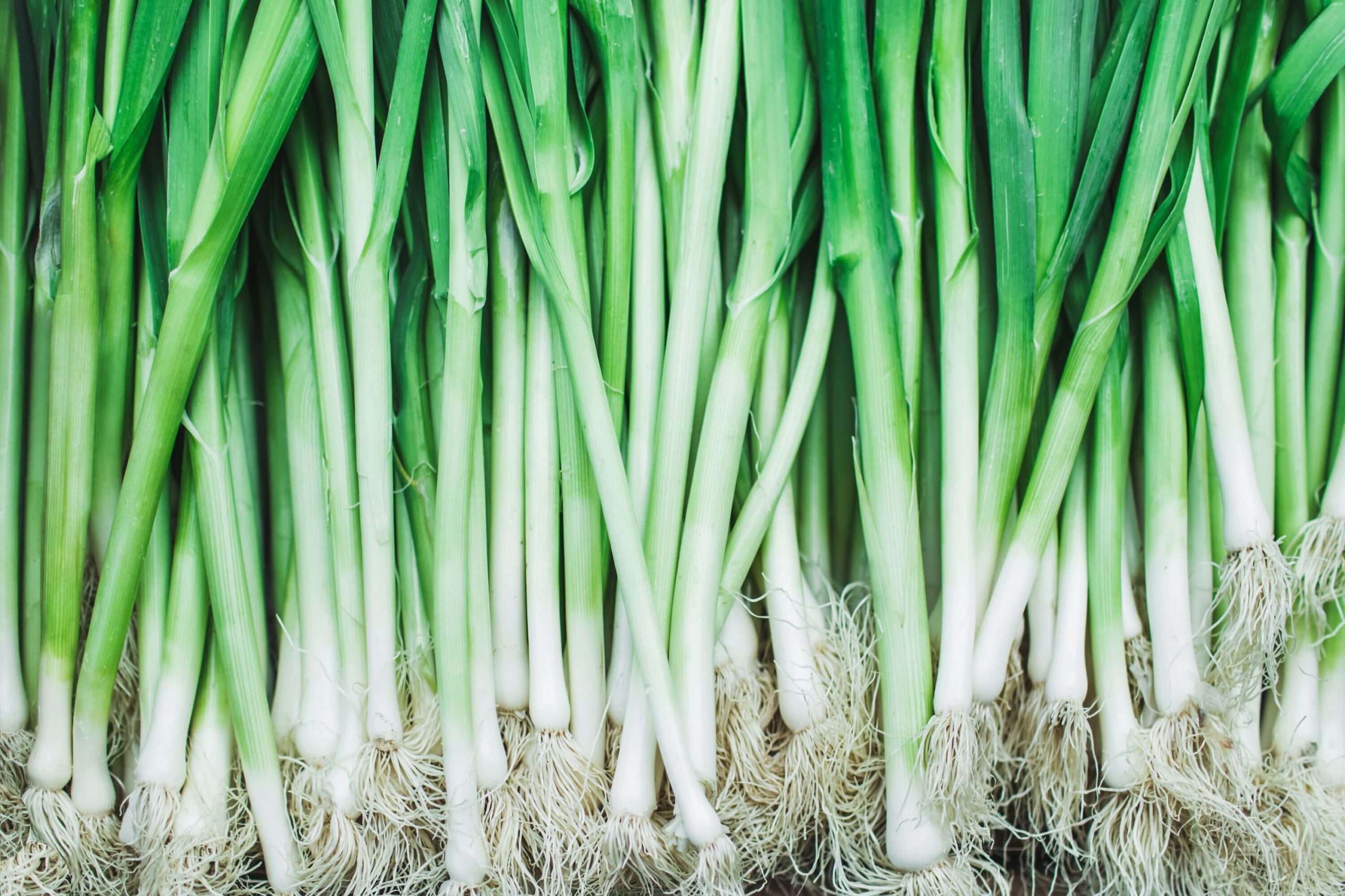 Green Onion Shortage