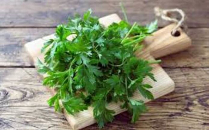 is there a cilantro shortage