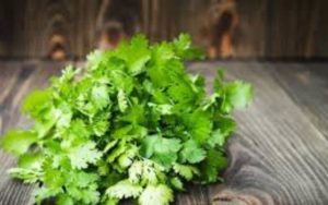 is there a cilantro shortage