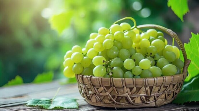 Green Grape Shortage