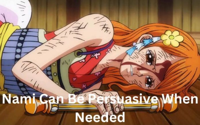 Nami Can Be Persuasive When Needed