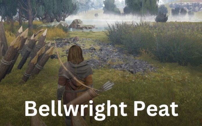 Bellwright Peat