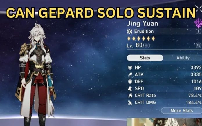 Can Gepard Solo Sustain