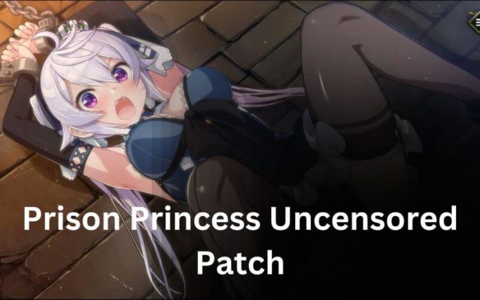 Prison Princess Uncensored Patch